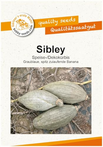 Sibley Kürbissamen von Bobby-Seeds, Portion