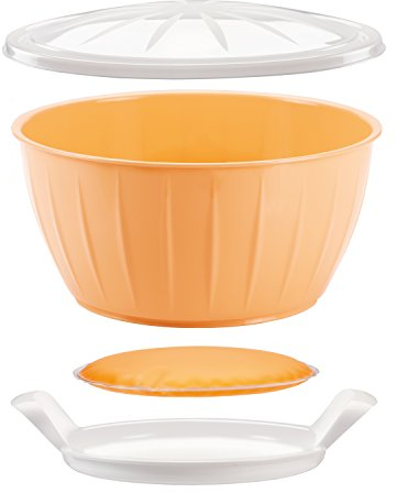 Tescoma Hefeteigschüssel mit Gelkissen und Popp Deckel DELÍCIA ø 26 cm