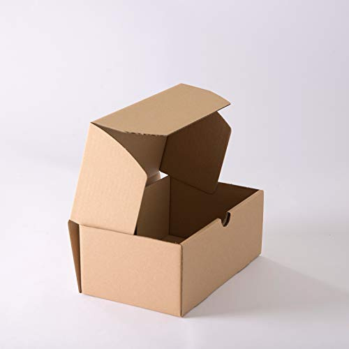 Lot de 100 Boîtes postales brunes 250x150x100 mm