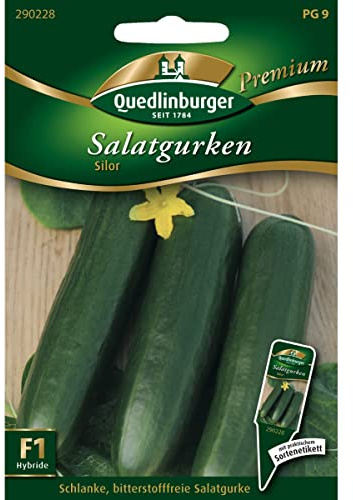 Gewächshausgurke, Silor F1