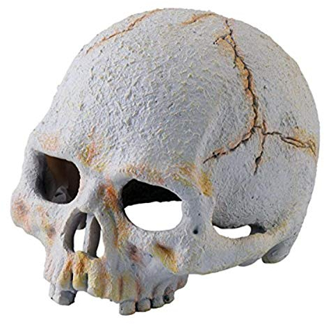 Exo Terra Primatenschädel, sicheres Versteck für Reptilien und Amphibien, klein