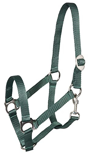 Pfiff 005543 Halfter, Weidehalfter Stallhalfter, Kunststoff Grün Pony Fohlen