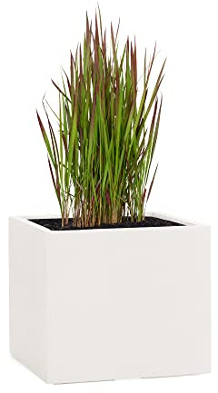 Pflanzwerk® Maceta Cube Arena 30x34x34cm *Resistente a Las heladas* *Protección UV* *Calidad Europeo*