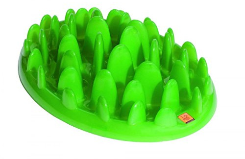 Northmate Green Slow Feeder-Small