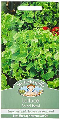 Mr Fothergill's 10254 Vegetable Seeds, Lettuce Salad Bowl, Green