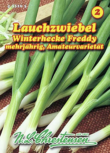 Lauchzwiebel Winterhecke (Portion)