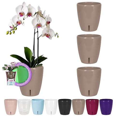 Santino 4er-Set Orchideentopf D 12cm Selbstbewässernder Topf mit Dochtsystem und Wasserstandsanzeige für den Innenbereich - Sand - 1,3L