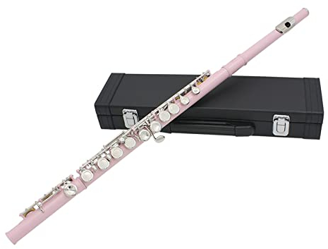 flöte Instrument Schülerflöte Schließen Sie 16 Löcher Mit Offset G, Split E Und H Fuß (Color : Pink)