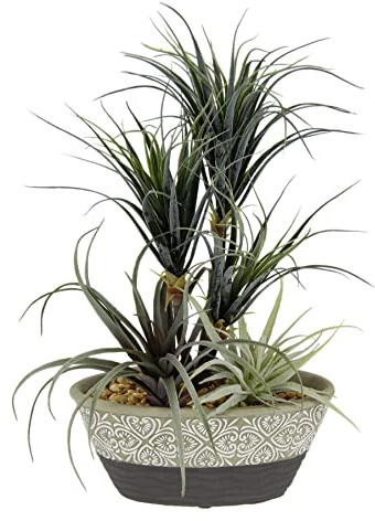 Kunstpflanze Dracena/Tillandsia im Topf Künstliche Gefälschte Blume Pflanze Grünpflanze Kunstblume Kunstgras Luftpflanze Kakteen Zimmerpflanze Sukkulente Aloe Vera Agave Yucca Sanseveria Kalanchoe