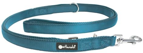Petlando Hundeleine 3m Mesh weich gepolstert, Petrol, 300x2,5cm | Für mittelgroße Hunde, 3-fach verstellbar, pflegeleicht, schnelltrocknend, Karabiner, Führleine, Freihandleine, Umhängeleine