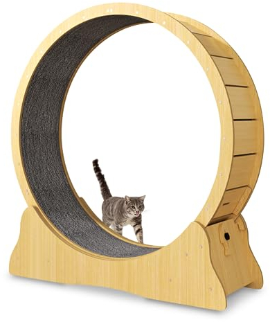 noviclass® Katzenlaufrad Baghira Groß XXL | 132cm Durchmesser Artgerecht für große Katzen | Kratzfest, stabil und leise | Gratis Spielzeug und E-Book | Geprüfte Qualität (Holz)