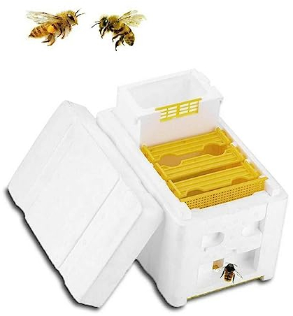 OFFSCH Bienenstock Mating Box Aus Hochwertigem Material Praktisches Bienenzuchtwerkzeug Für Effiziente Bienenhaltung Für Imker Und Bienenzüchter