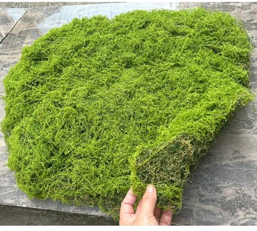 AQCQDQ Tappetini di muschio per la decorazione, muschio piatto per immagini di muschio e pareti di muschio, muschio artificiale per decorare, muschio finto per artigianato, tappetini di muschio