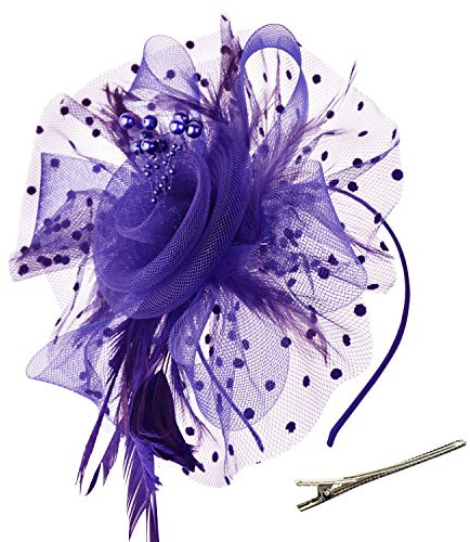 DRESHOW Fascinator Hüte für Damen Pillbox Hut mit Schleier Stirnband und Einer Gegabelten Clip Tea Party Kopfbedeckung