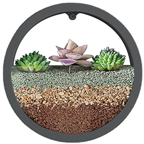Veeteah Runder Wand-Blumentopf, Wand-Pflanzgefäß-Vase | Klare Wandpflanzgefäße | Wandvase, Sukkulenten-Übertopf, Kreis, runder Blumentopf, vertikaler Innenbehälter, Wandaufhängung, Heimdekoration