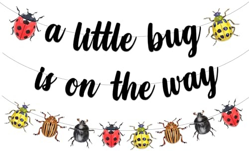 Little Bug Babyparty-Dekorationen, A Little Bug is on the Way, Banner, Marienkäfer-Girlande, buntes Insektenmotiv, hängende Banner für Jungen und Mädchen, Babyparty, Geburtstagsparty-Zubehör