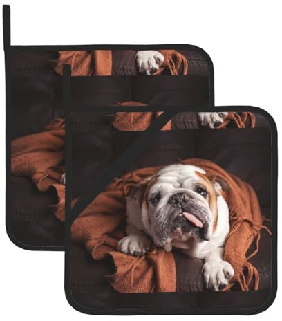 Set di 2 presine marrone cane Bulldog inglese presine per cucina Tappetino per presine resistente al calore Cuscinetti caldi per bancone della cucina Presina con presine ad anello per cucinare alla g