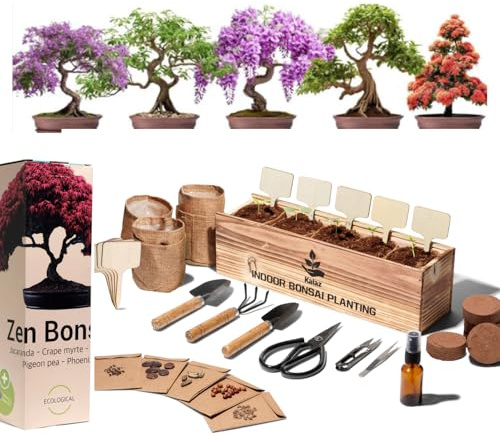 Kit Bonsai Completo de Inicio – Decoración de Madera Interior – 5 Plantas Naturales – Semillas japonesas – Herramientas & Tijeras – Regalo para Mujer y Hombre – Caja Original para la Madre