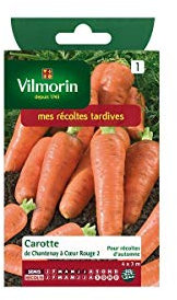 Vilmorin - Sachet graines Carotte de Chantenay à coeur rouge 2