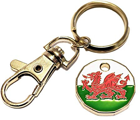 welsh dragon trolley / locker coin keyring