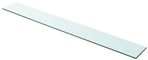 Festnight Ersatzteile Glas Regalboden Glasboden Glas Einlegeboden Max. Tragfähigkeit 15 kg 100 x 12 cm Transparent