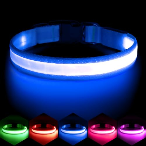 Vizpet LED Dog Collar, Light Up Dog Collar Adjustable USB Rechargeable Super Bright Safety Light Glowing Collars for Dogs(Medium,Blue)