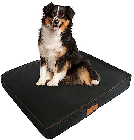 Ellie-Bo Cama ortopédica de Espuma viscoelástica Impermeable Negra para Perros pequeños de 24 Pulgadas