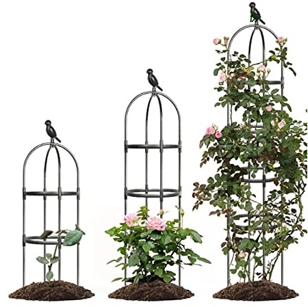 Obélisque De Jardin, Tuteur Plante Grimpante, Pour Plantes En Pot Intérieur Extérieur, Diamètre De L'anneau 25cm 30cm, Hauteur 120cm 150cm 180cm, Facile À Assembler(Color:Black,Size:30x180cm/11.8x70.8