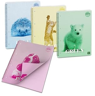 Pigna, Confezione 4 Quaderno Blocco Spiralato,carta colorata,COLOUR INSIDE, A5, 50 Fogli, interno 5M, quadretto 5mm
