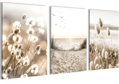 Novart Bilder Set Boho Pampasgras - Kein Extra Rahmen benötigt - Wandbilder für Wohnzimmer Schlafzimmer Flur - 3 Teilig Deko Beige - N035336a