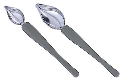 FONDOTIN 2pezzi Cucchiaio Decorativo Inossidabile Per Arte Del e Decorazione Di Piatti Strumento Pratico Per Salse e Piatto Impiattamento Facile Da Usare Per Eventi e Ristoranti