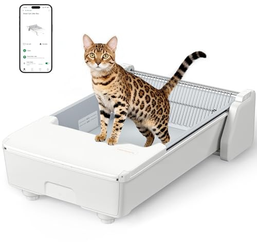 Meowant Selbstreinigende Katzentoilette,Sichere Anti-Klemm-Schutzfunktion | Offenes Top-Design für Mehrkatzenhaushalte, Doppelrechen-System,Geeignet für Klumpstreu, Geruchskontrolle,Einfache Reinigung