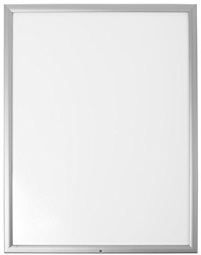 Displays2go Outdoor Frame for 24 36 Posters or Advertisements, Locking, Weatherproof and Rustproof, Silver Aluminum