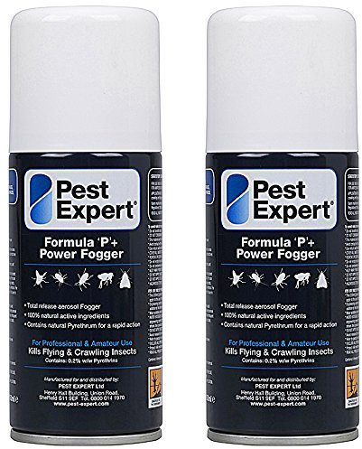 Pest Expert Formula ‘P+’ Carpet Beetle Killer Fogger 2 x 150ml (HSE approved and tested - professional strength product)