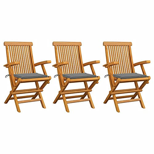 Susany 3X Teak Massiv Gartenstuhl mit Grauen Kissen Armlehnen Gartenstühle Klappstuhl Klappstühle Holzstuhl Gartenmöbel Stuhl Stühle 55 x 60 x 89 cm (B x T x H)