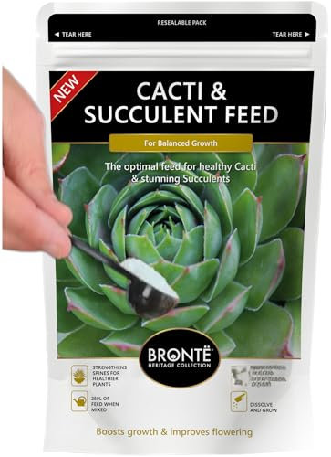 Bronte Heritage Cacti & Succulent Feed Fertiliser – Water Soluble Plant Food for Indoor & Outdoor Cacti, Succulents, Rock Gardens. Easy Dissolve Powder for Plump Leaves, Healthy Growth. 250g Pouch