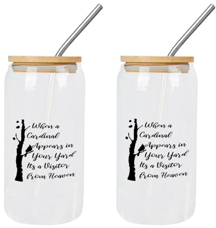 Yelolyio 2 Pcs Glass Cups with Bamboo Lids and Straws When A Cardinal Appears in Your Yard Its A Visitor from Heaven Glass Cup Can Beer Cups Mom Birthday Gifts Cups Great for Iced Coffee Juice