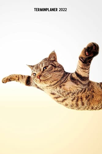 Terminplaner 2022: Schöner Katzen Design Jahresplaner und Kalender von Januar bis Dezember 2022 mit Ferien, Feiertagen und Monatsübersicht - Organizer und Zeitplaner für 1 Jahr