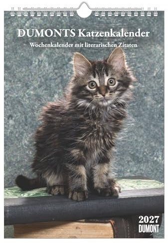 Alpha Edition - Tatzentiger 2025, 29,7x42cm, Bildkalender mit hochwertigen Bildmotiven aus der Welt der Katzen, Notizmöglichkeiten, Kalenderwochen, Feiertage DE/AT/CH und internationales Kalendarium
