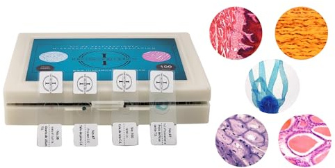 100 Muestras Preparadas para Microscopio en Español + USB con Manual de Microscopía | Set Educativo Estudiantes y Adultos |Vidrio Óptico
