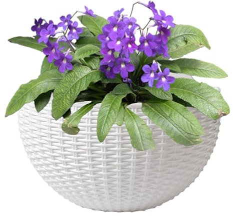 Vasi Da Fiori In Rattan Finto Da Appendere Alla Parete - Vasi Da Fiori Da Appendere Alla Parete, Semicircolari, V-asi Da Fioris Sospesi, Cestini, Con Drenaggio E Ganci, Per Recinzione,Balcone,Terrazza