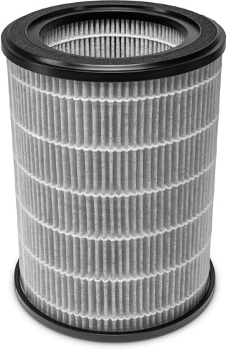 TROTEC filtro HEPA con carbón activo para AirgoClean 170/171 E | Reduce partículas, olores y gases del aire interior; filtro de recambio para mantener el rendimiento del purificador