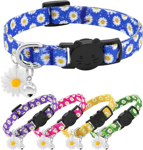 DQGHQME Katzenhalsband verstellbar mit Glöckchen - weich, bequem & personalisierbar für Hauskatzen
