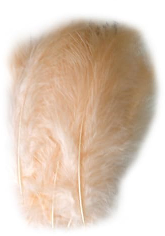 200 Stück Fasan Federn, 10-15cm Natürliche Hühnerfeder zum Basteln DIY Deko Federn Klein Bastelfedern für DIY Traumfänger Ohrringe Karneval Fasching Kostüm Verzierungszubehör,Beige
