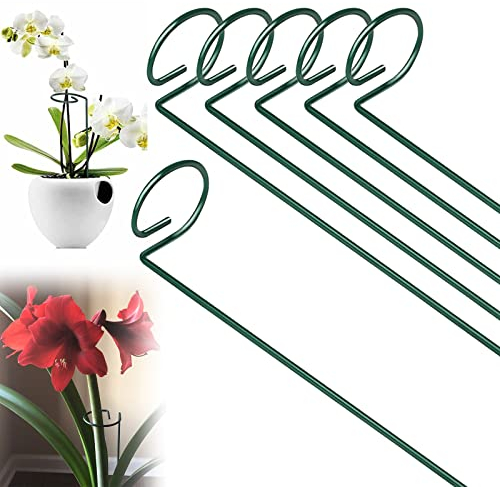 CUNQN Plant Support Stakes Metal Support Stake Plant Cage Support Ring Garden Stakes Single Stem Plant Stick Support 40cm for Tomatoes Peony Lily Rose Flowers Amaryllis 6PCS