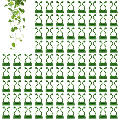 Clips zur Befestigung an der Wand von Kletterpflanzen – 100 Haken zur Befestigung von Pflanzen | Gartenclips sichere Aufkleber | Wandclips für Tomatenpflanzen, Weinreben, für den Innen- und