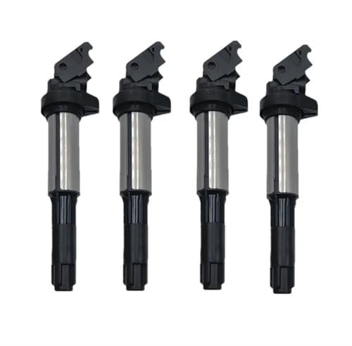 DZSQWETYU Zündspule 1/4/6 Stücke Zündspule Für 3 5 6 7 X3 X5 E46 E60 E65 0221504100 0221504464 12137551260 12131712219 Zündmodul(4PCS)