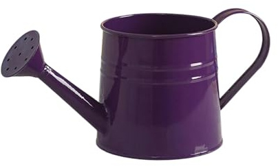 Regadera de metal blanco, regadera galvanizada, regadera de 1 galón con boquilla extraíble, regadera de flores vintage, para el cuidado de plantas en interiores y exteriores (morado)