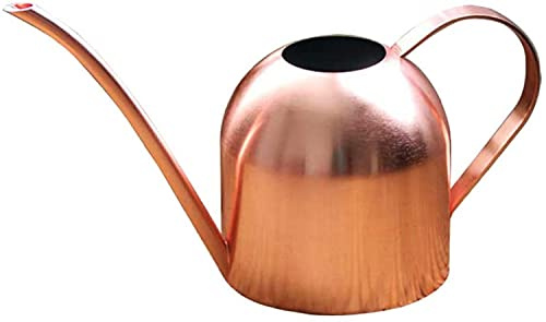 YZJSSL 1pcs Arrosoir en Cuivre Petit Bidon d'eau pour Plantes D'intérieur Et D'extérieur 1000 ML