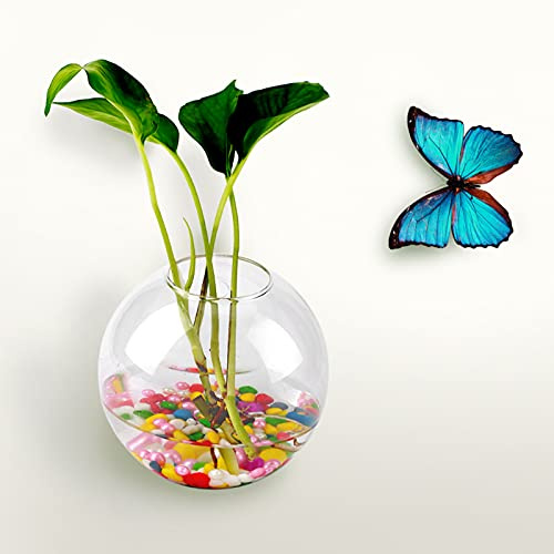 Premium Quality Hanging Glass Vase Breaks Resistance Hydroponic Wall Decor Hydroponic Container (Half Round)